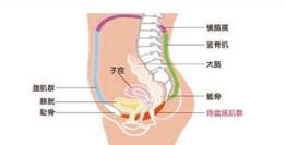 產(chǎn)后康復(fù)治療